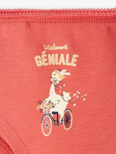 Lot De 3 Shorties Fleurs Et Lama Fille Lot Rose - Vertbaudet 6 Lot De 3 Shorties Fleurs Et Lama Fille Lot Rose - Vertbaudet – Image 6