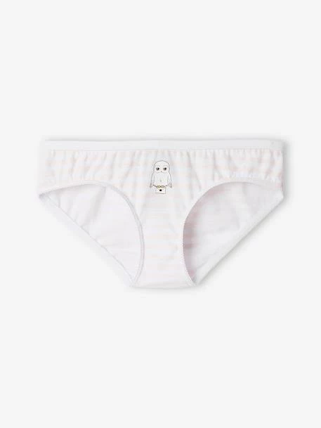 Lot De 5 Culottes Fille Harry Potter® Rose Poudré - Harry Potter 2 Lot De 5 Culottes Fille Harry Potter® Rose Poudré - Harry Potter – Image 2
